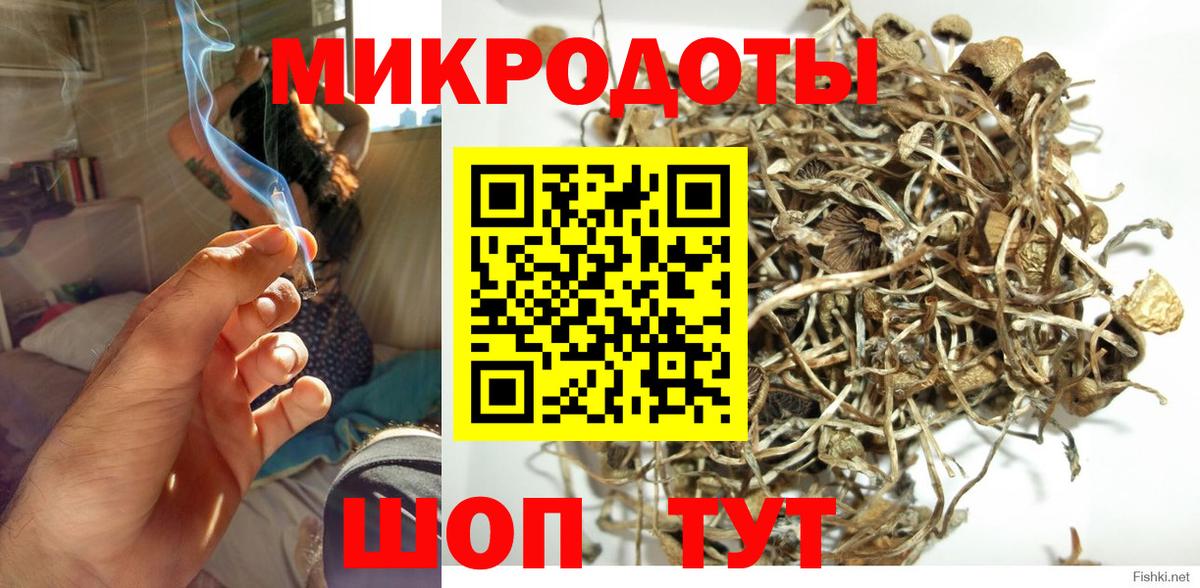 Галлюциногенные грибы Psilocybe Ялта