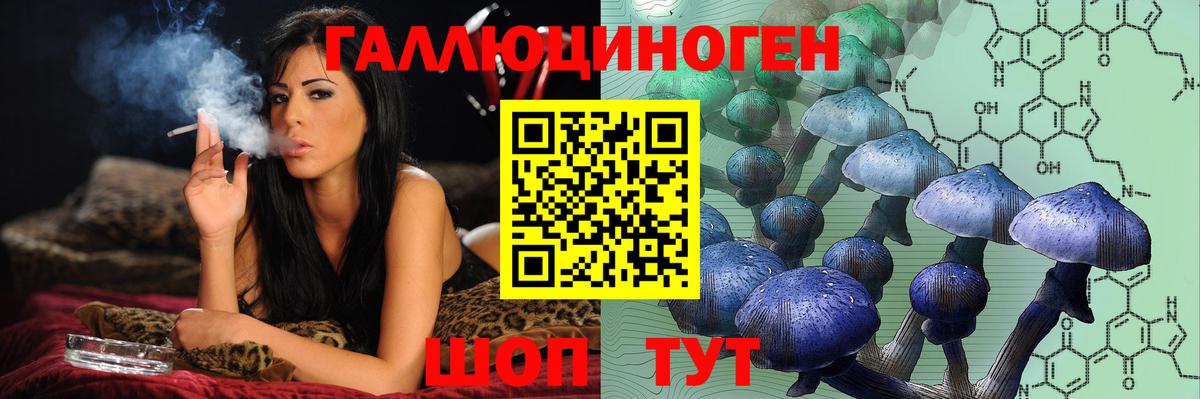 купить наркотик  Вход с VPN  Ялта  Галлюциногенные грибы GOLDEN TEACHER  Галлюциногенные грибы Cubensis 